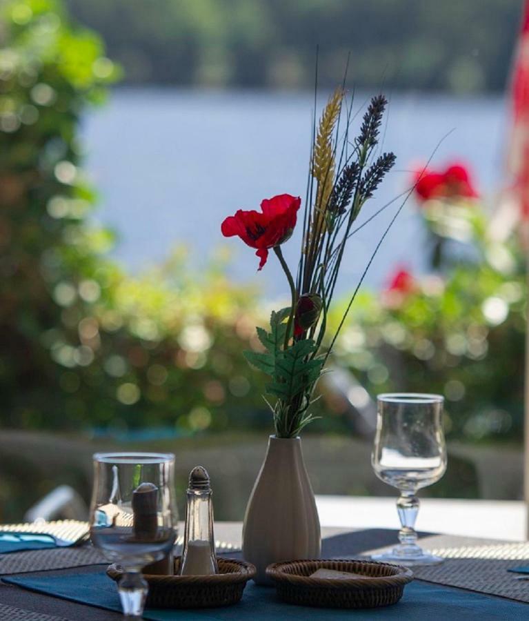 Logis Hotel Du Lac Neuvic  Εξωτερικό φωτογραφία