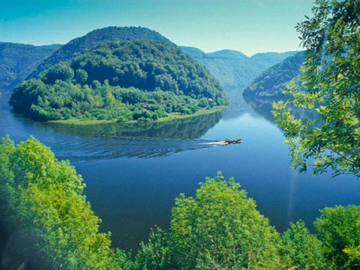 Logis Hotel Du Lac Neuvic  Εξωτερικό φωτογραφία
